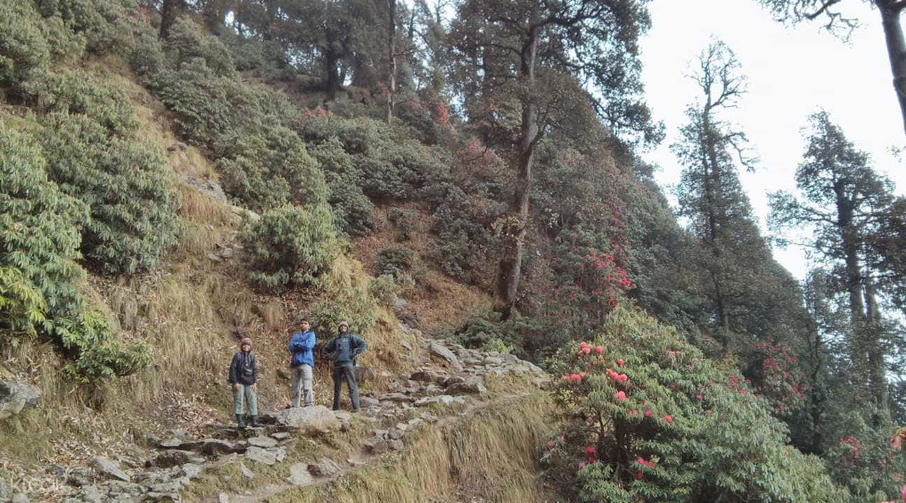 Jogini Waterfall Trek from Manali2