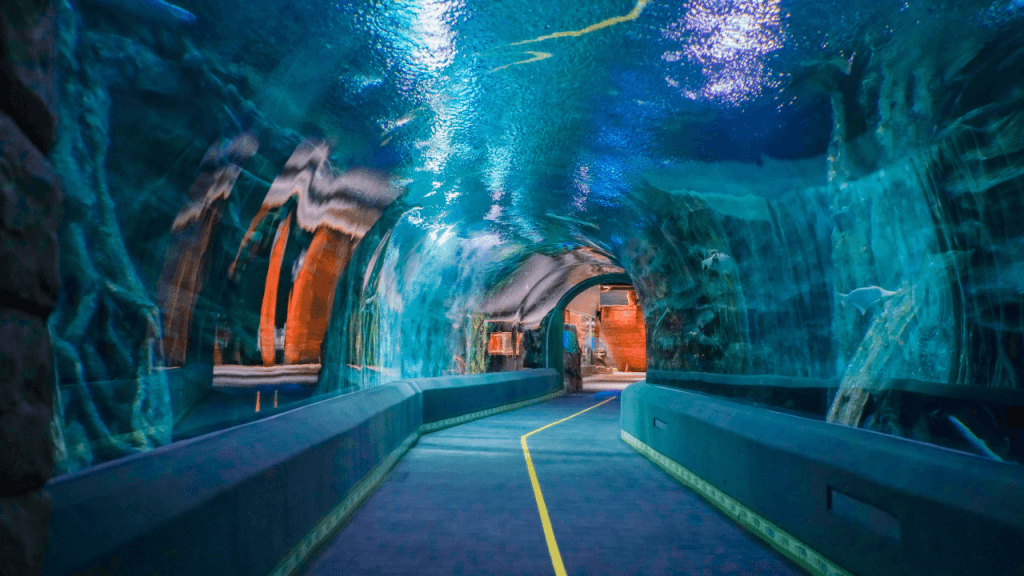 บัตรเข้าชมลอตเต้เวิร์ดอควาเรี่ยม (Lotte World Aquarium)