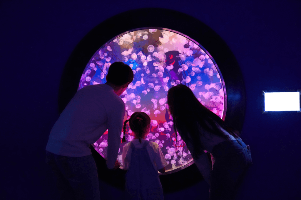 บัตรเข้าชมลอตเต้เวิร์ดอควาเรี่ยม (Lotte World Aquarium)3