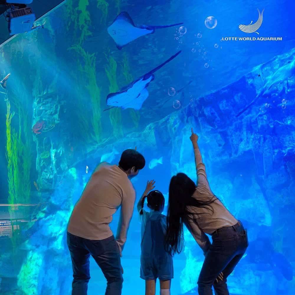 บัตรเข้าชมลอตเต้เวิร์ดอควาเรี่ยม (Lotte World Aquarium)4