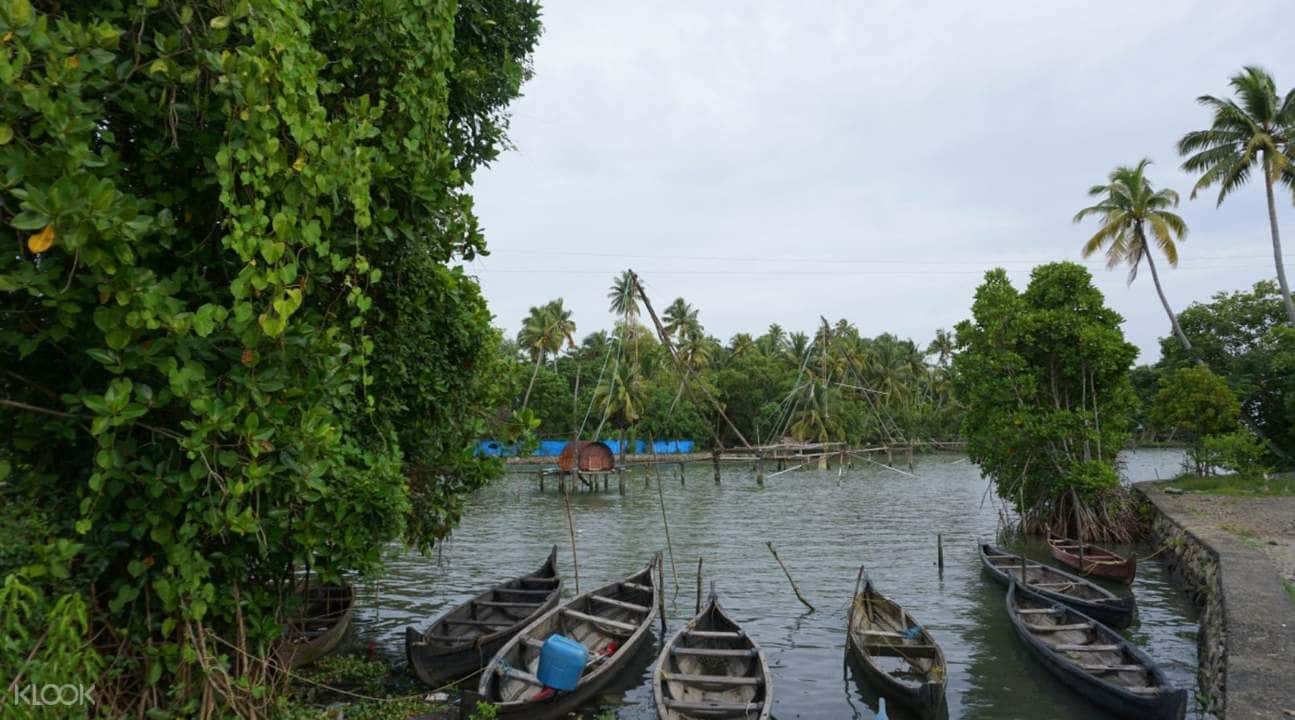 Kumbalangy Village Private Tour from Cochin2