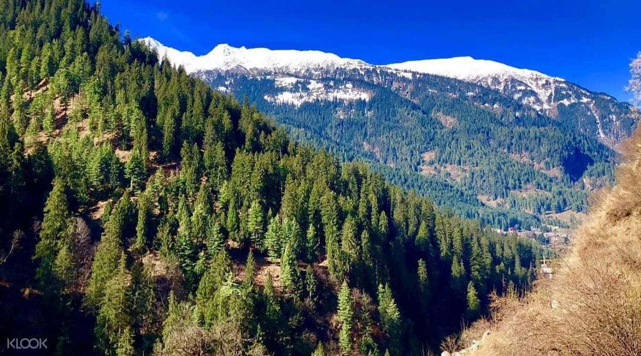 Kumbalangy Village Private Tour from Cochin1