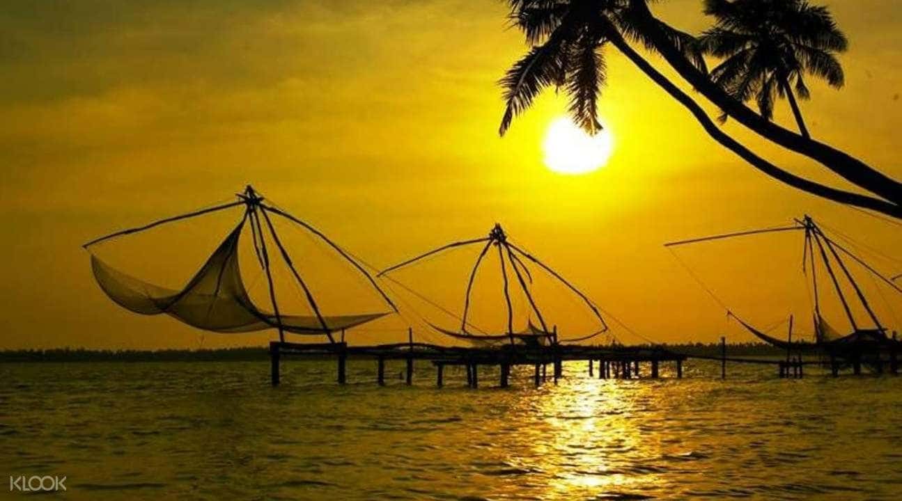 Kumbalangy Village Private Tour from Cochin4