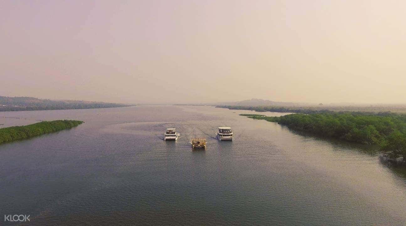 Mandovi River Party Cruise with Island Hopping in Goa4