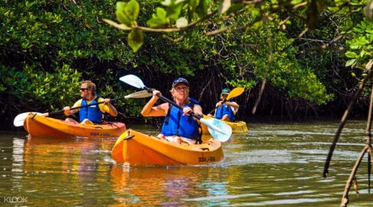 Mangrove Kayaking Experience in Andaman Islands1