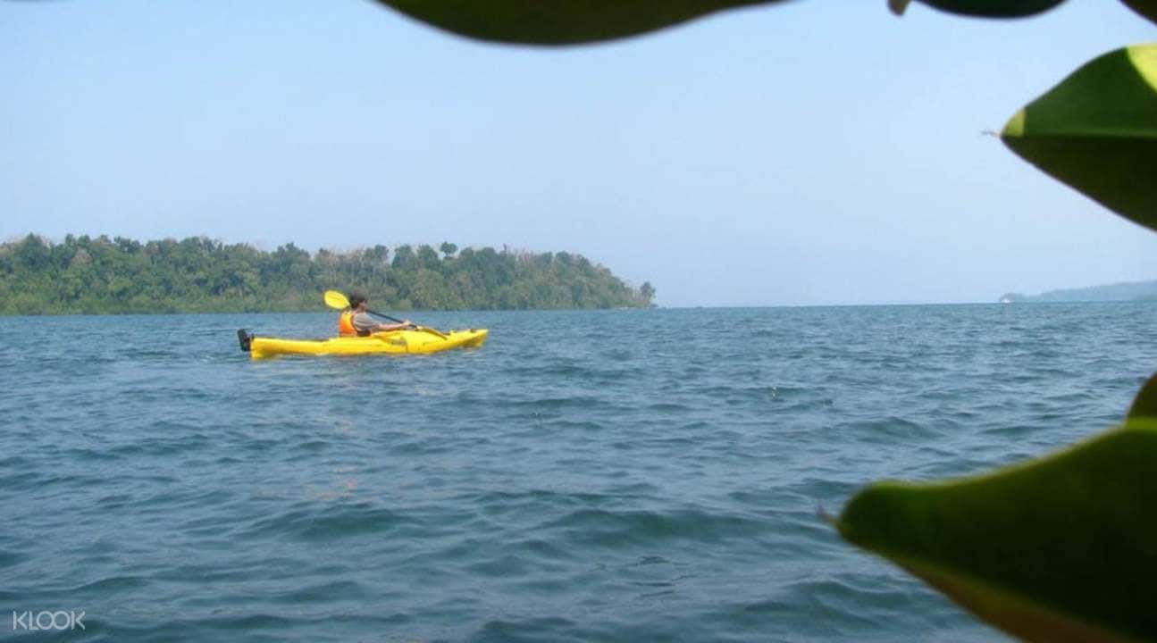 Mangrove Kayaking Experience in Andaman Islands3
