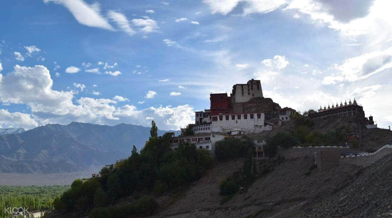 Monastery Full Day Tour in Leh1