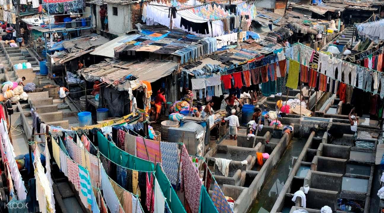 Mumbai Dabbawala and Dhobi Ghat Half Day Tour2