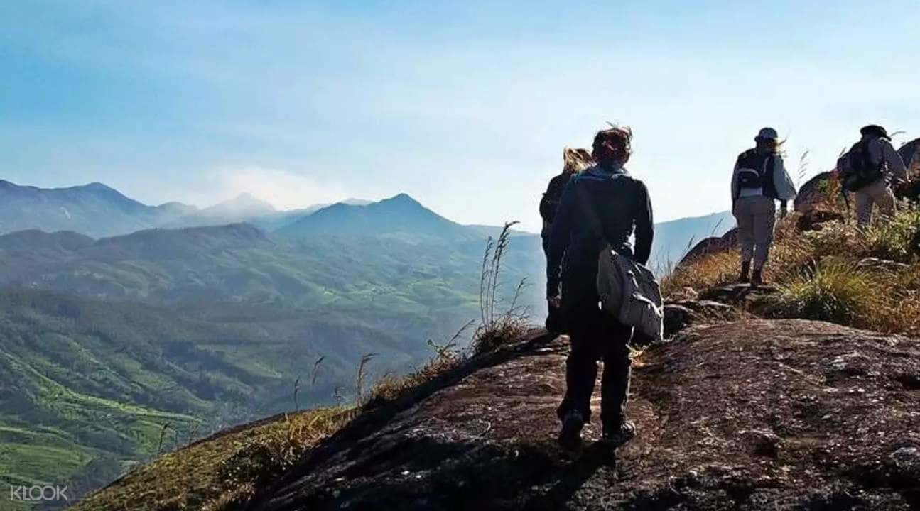 Munnar Top Station Camping and Campfire Experience1