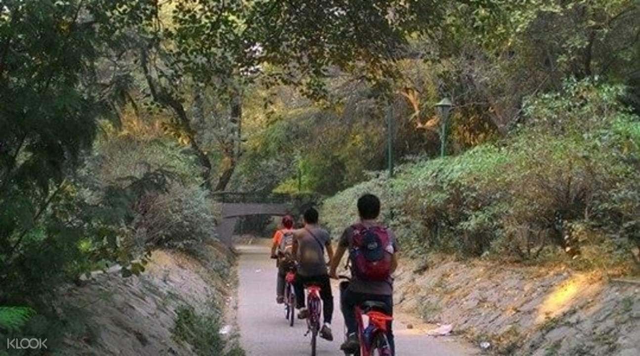Nizamuddin Morning Cycling Tour2