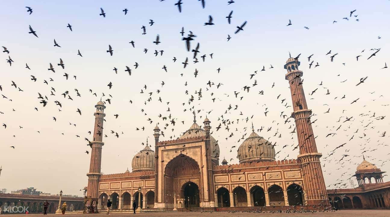 Old Delhi Bazaar Walking Tour1