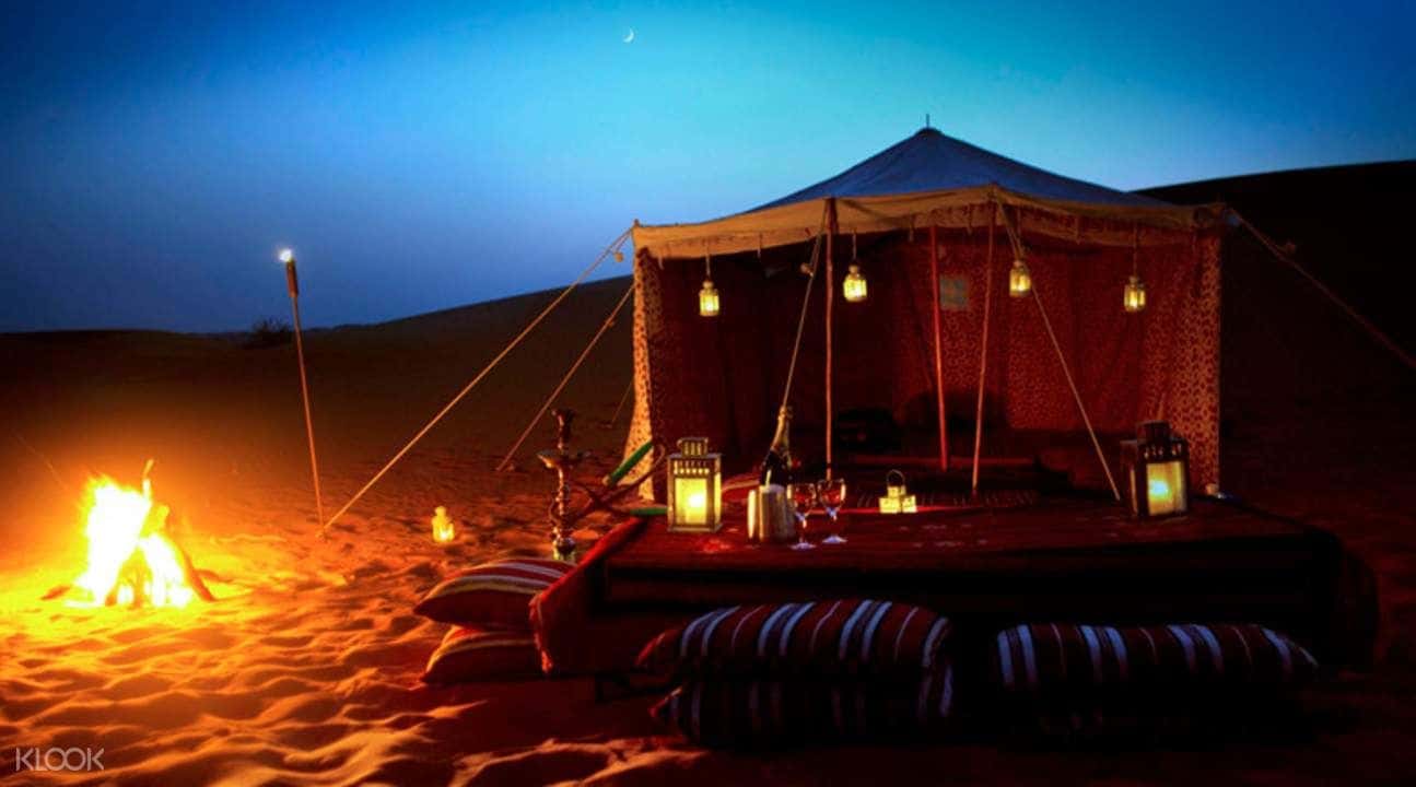 Overnight Camel Safari In Jodhpur3