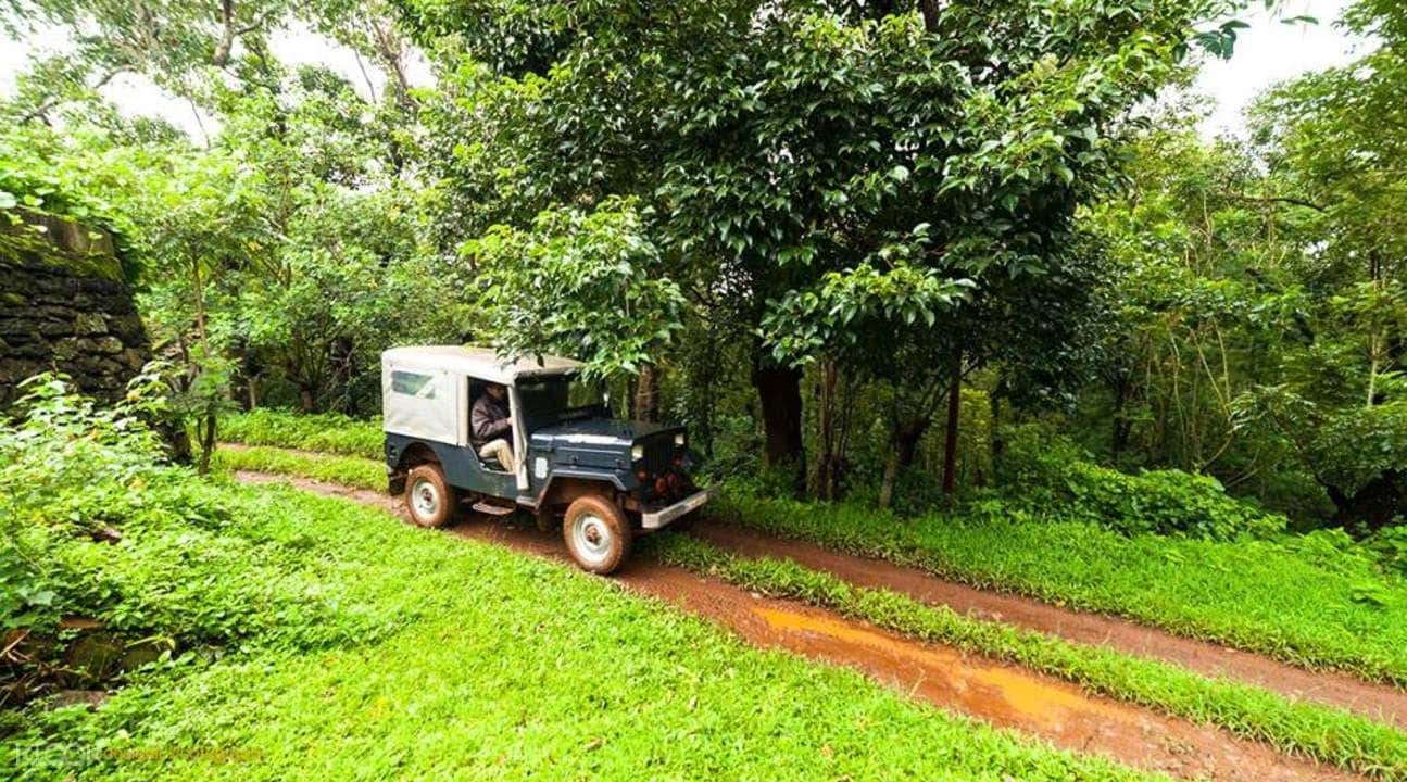 Overnight Camping Experience in Chikmagalur2