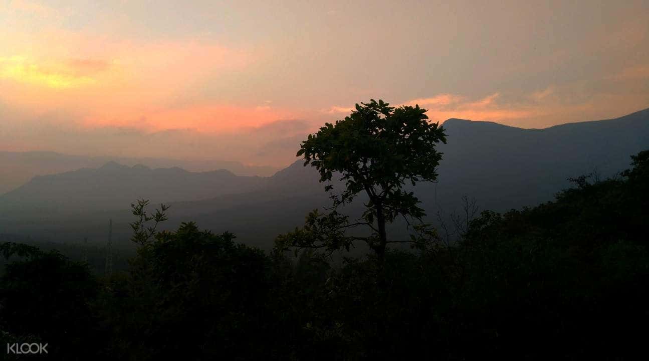 Overnight Camping Experience in Chikmagalur4