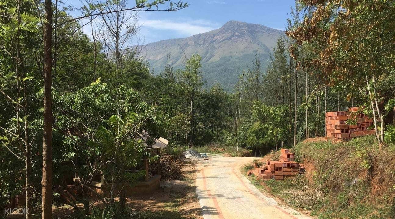 Overnight Camping Experience in Chikmagalur3
