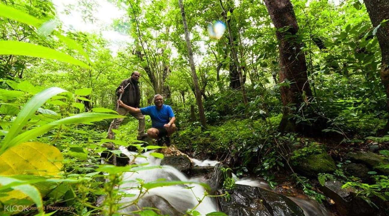 Overnight Camping Experience in Chikmagalur1