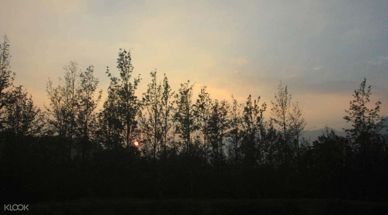 Overnight Tree House Stay in Chikmagalur1
