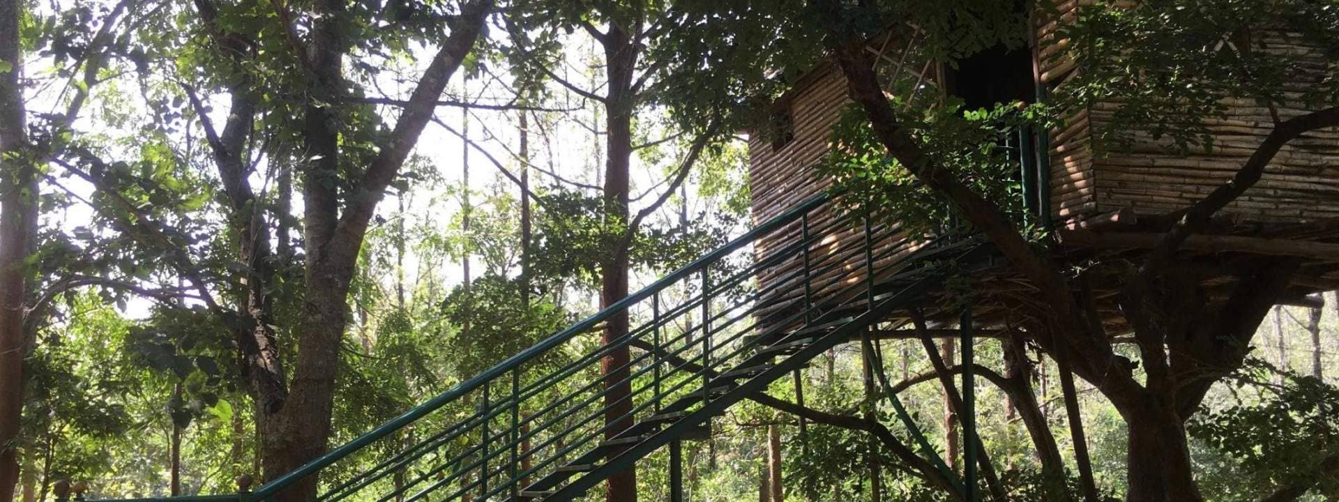 Overnight Tree House Stay in Chikmagalur