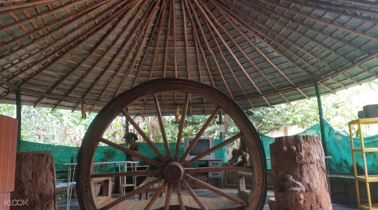Overnight Tree House Stay in Chikmagalur3