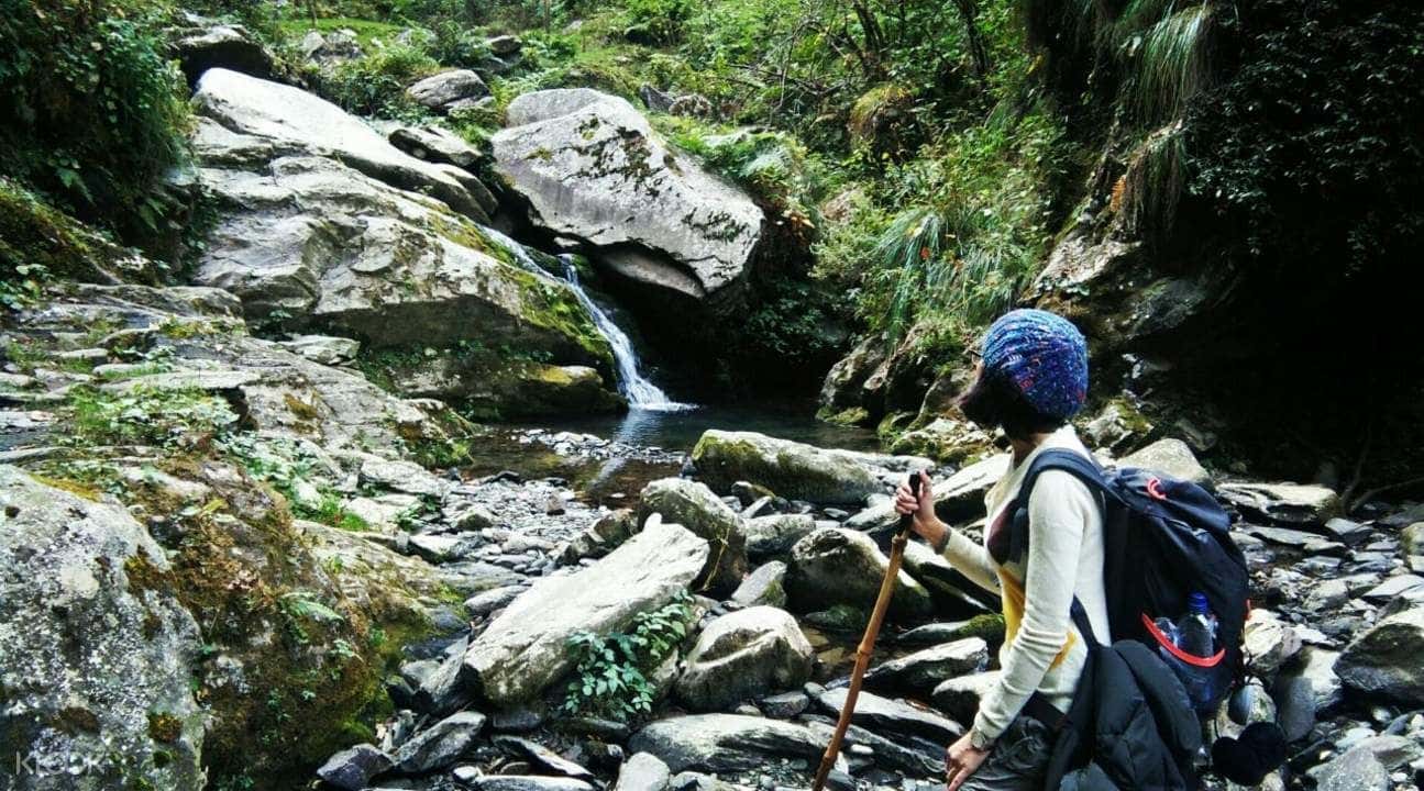 Prashar Lake Trek with Camping Experience4