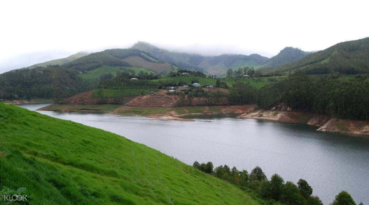 Private City Transfers between Cochin and Munnar3