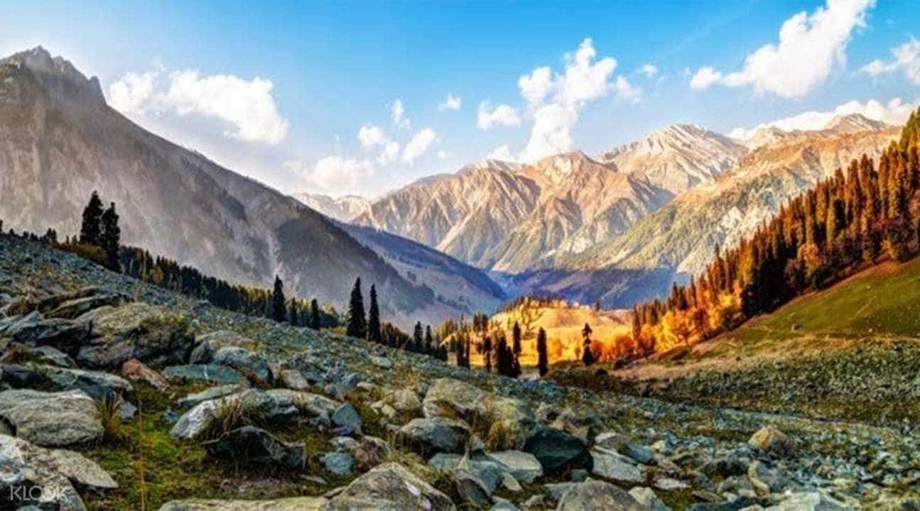 Private Gulmarg Day Tour from Srinagar1