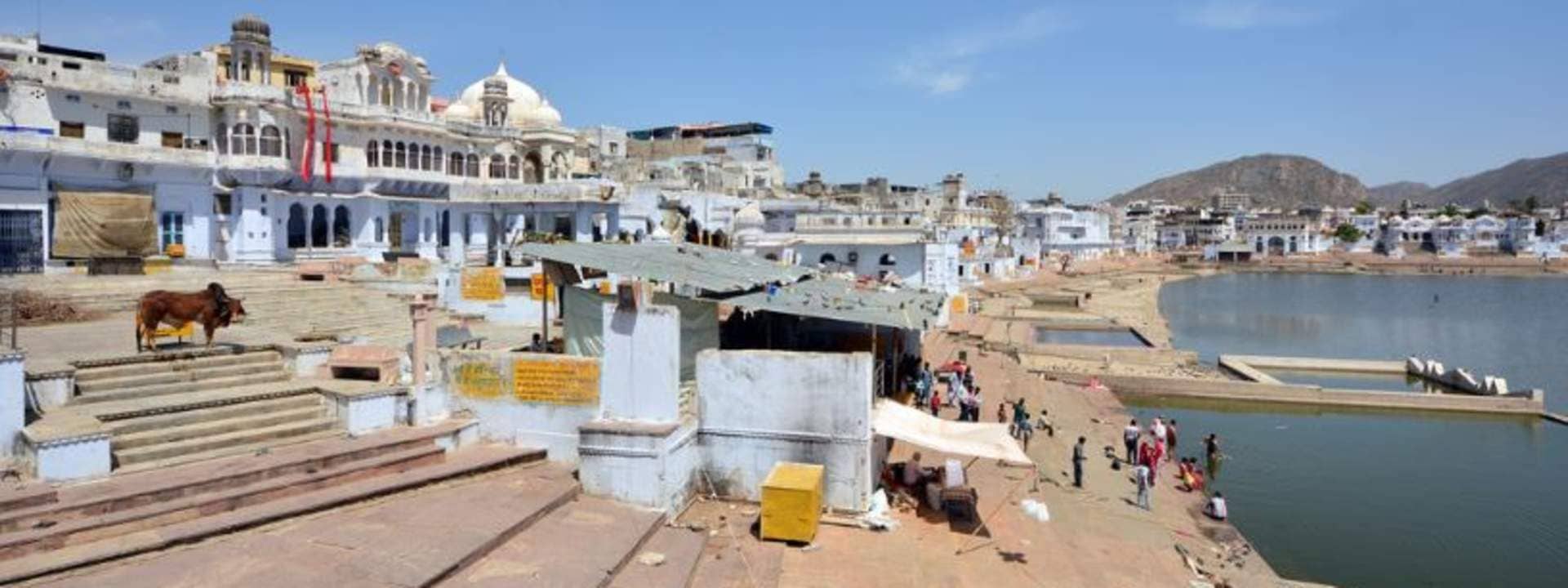 Pushkar Cultural Walking Tour