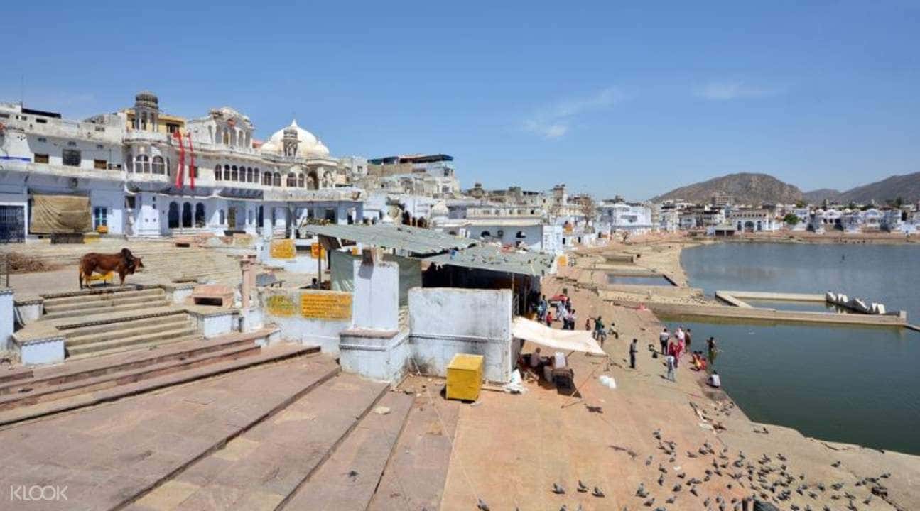 Pushkar Cultural Walking Tour4