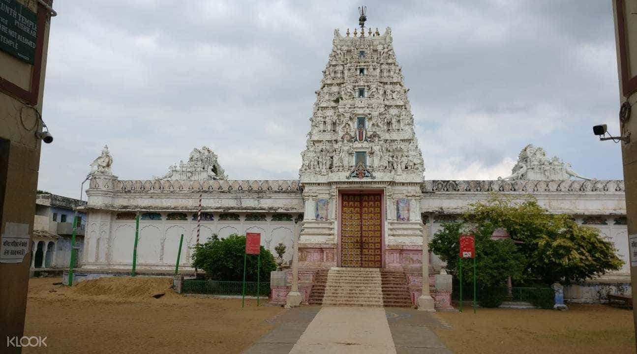Pushkar Cultural Walking Tour2