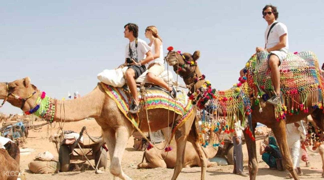 Pushkar Sightseeing Private Day Trip from Jaipur3