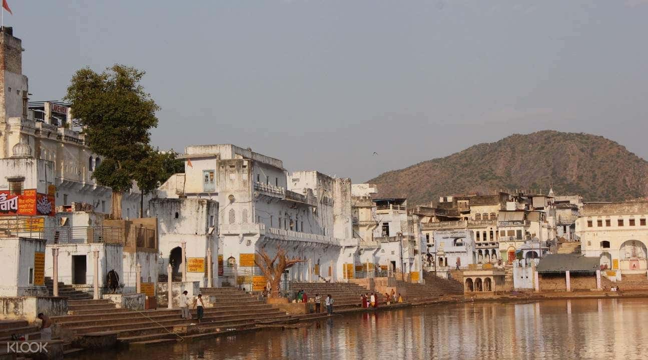 Pushkar Sightseeing Private Day Trip from Jaipur1