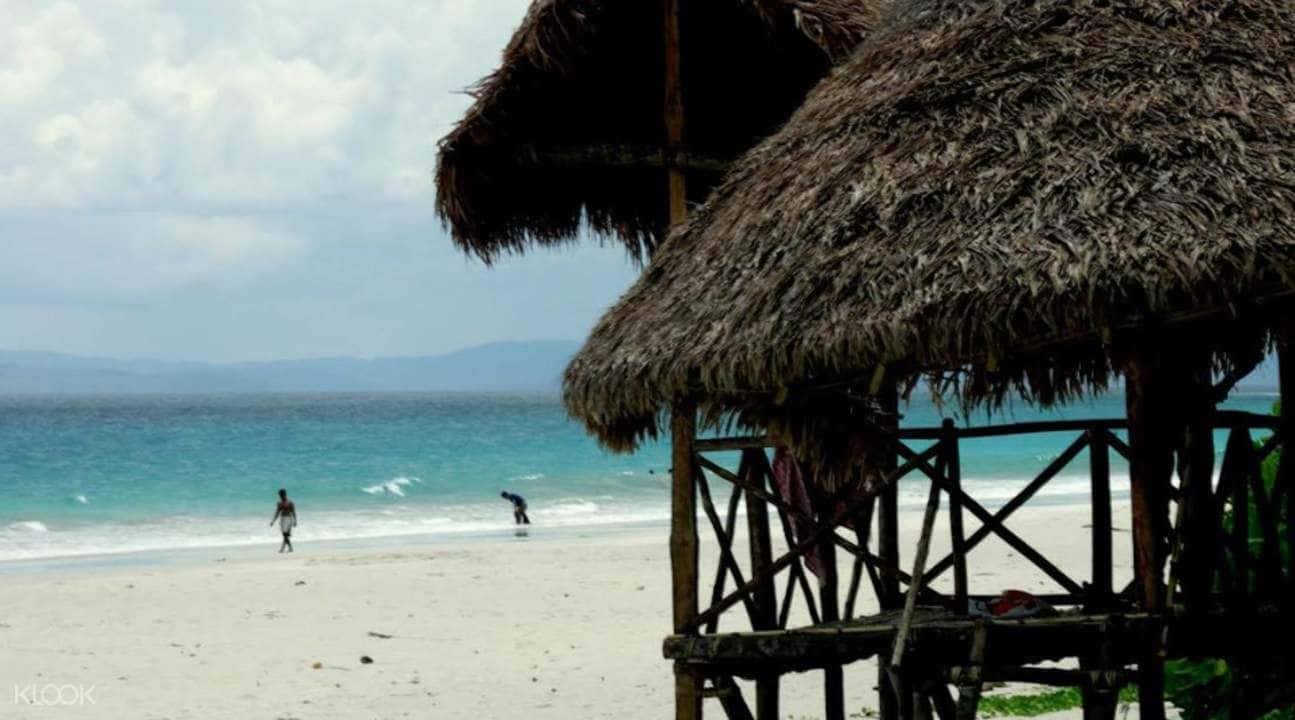 Radhanagar and Kala Pathar Beach Day Tour1