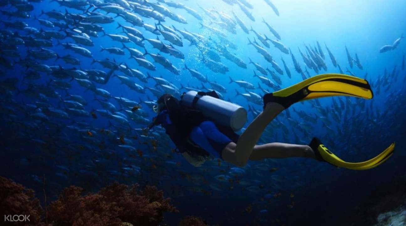 Scuba Diving and Water Sports Combo Experience in Grande Island1