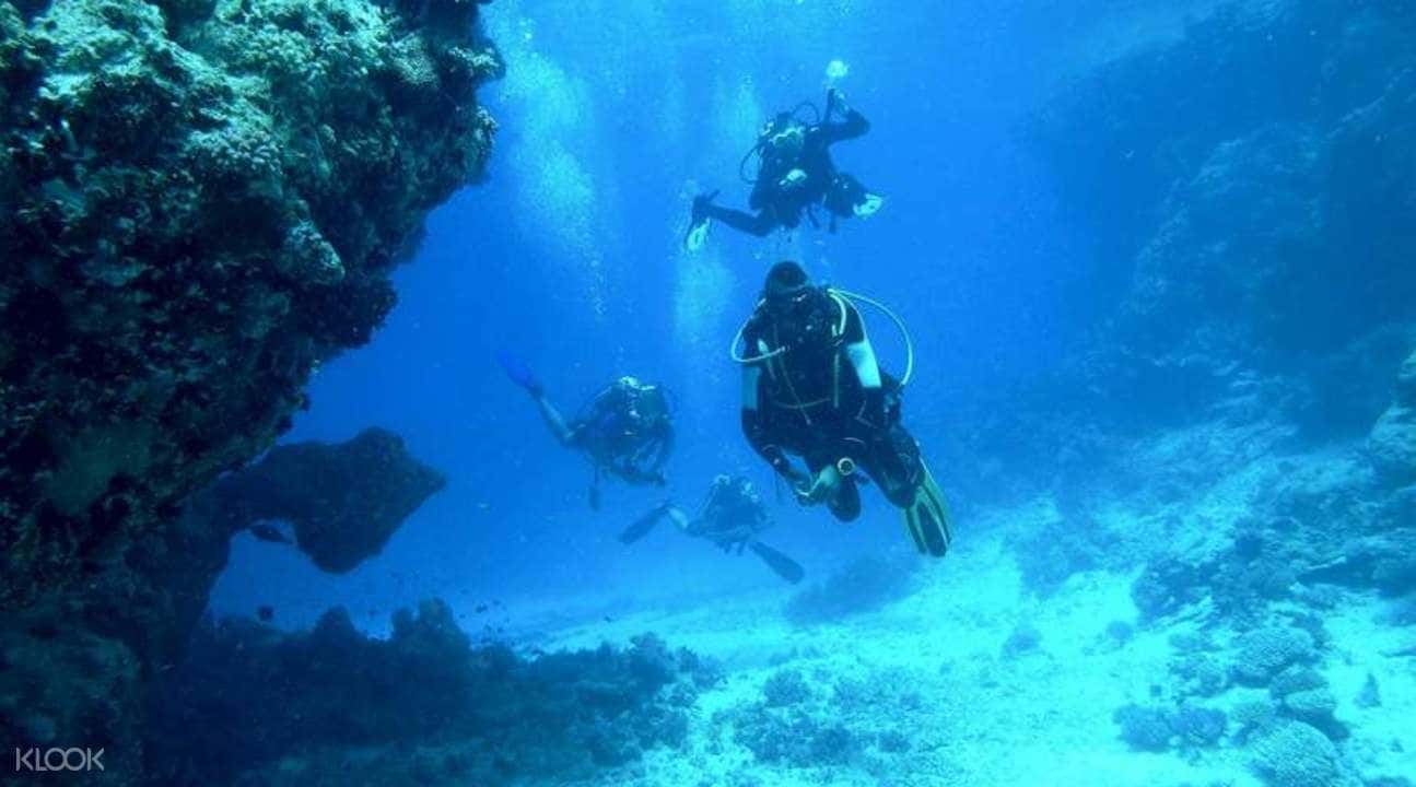 Scuba Diving Experience in Havelock Island4