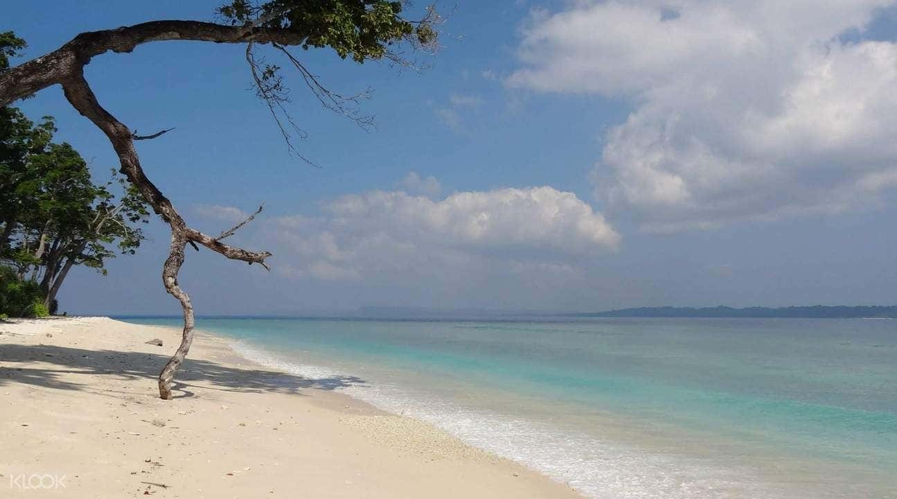 Scuba Diving Experience in Havelock Island1