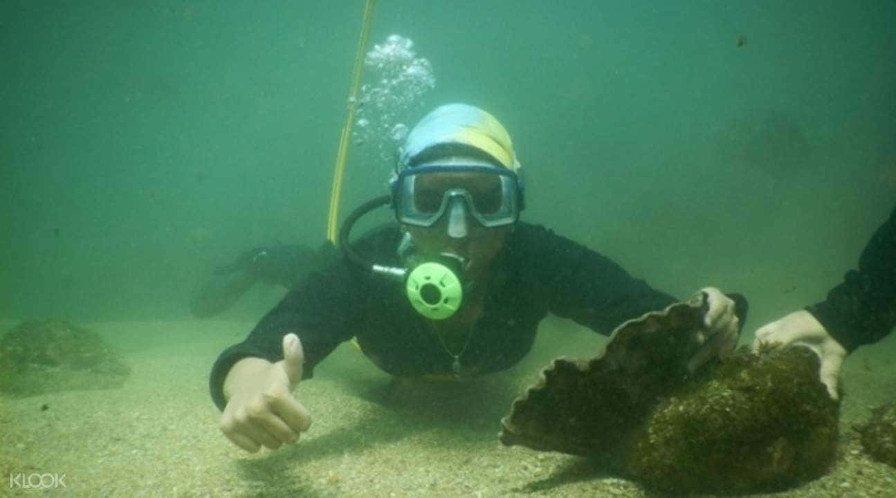 Scuba Diving Experience in Malvan from Goa1