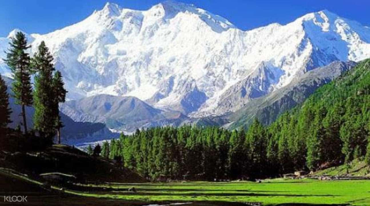 Sonmarg Private Day Tour from Srinagar2