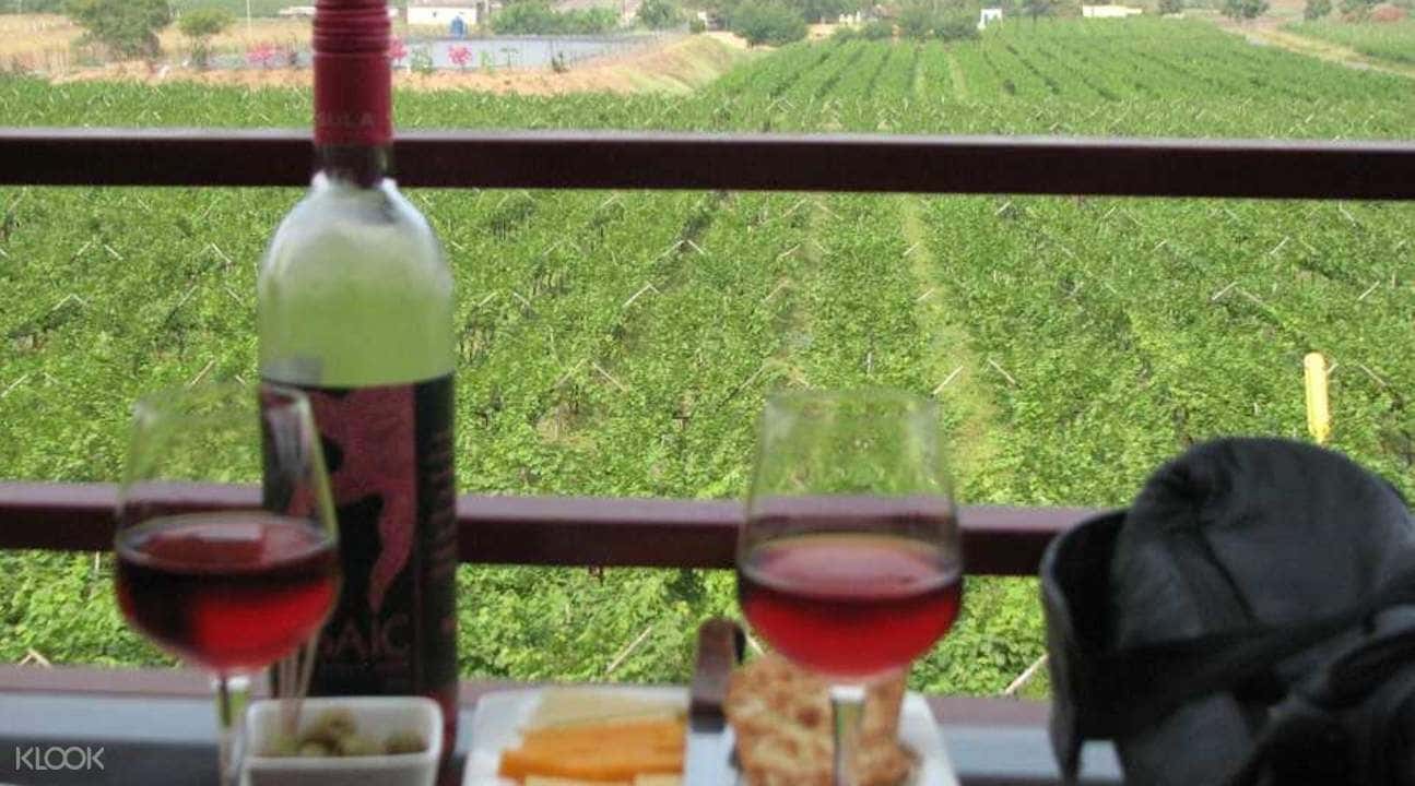 Sula Vineyards with Wine Tasting Day Tour from Mumbai2