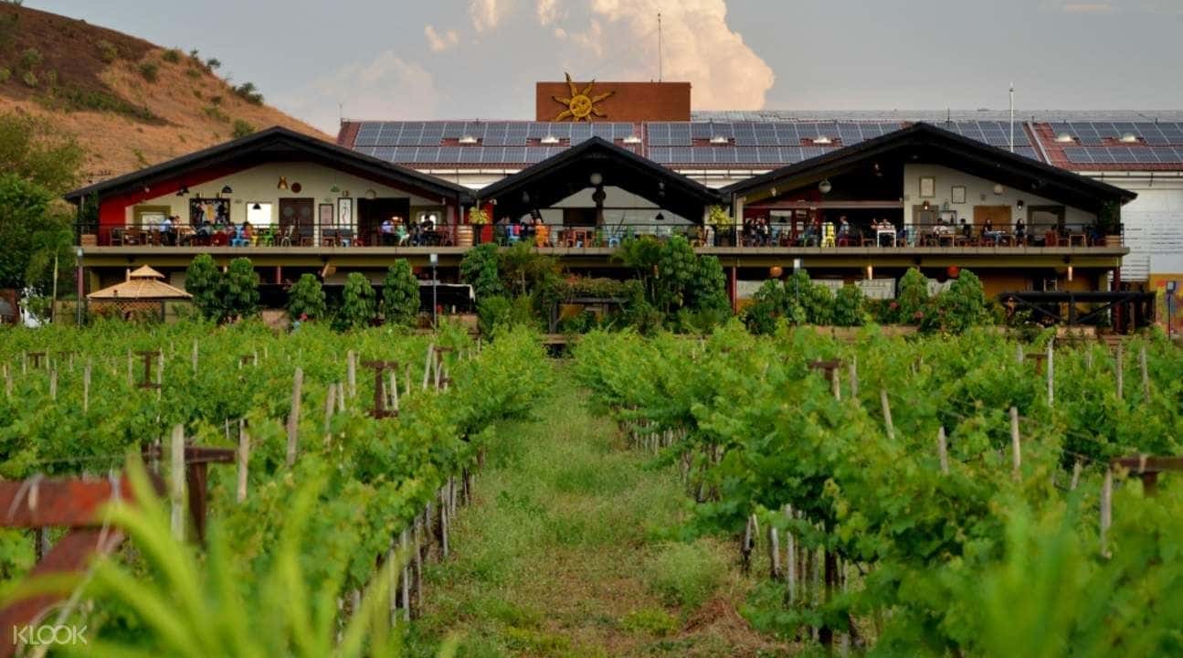 Sula Vineyards with Wine Tasting Day Tour from Mumbai4