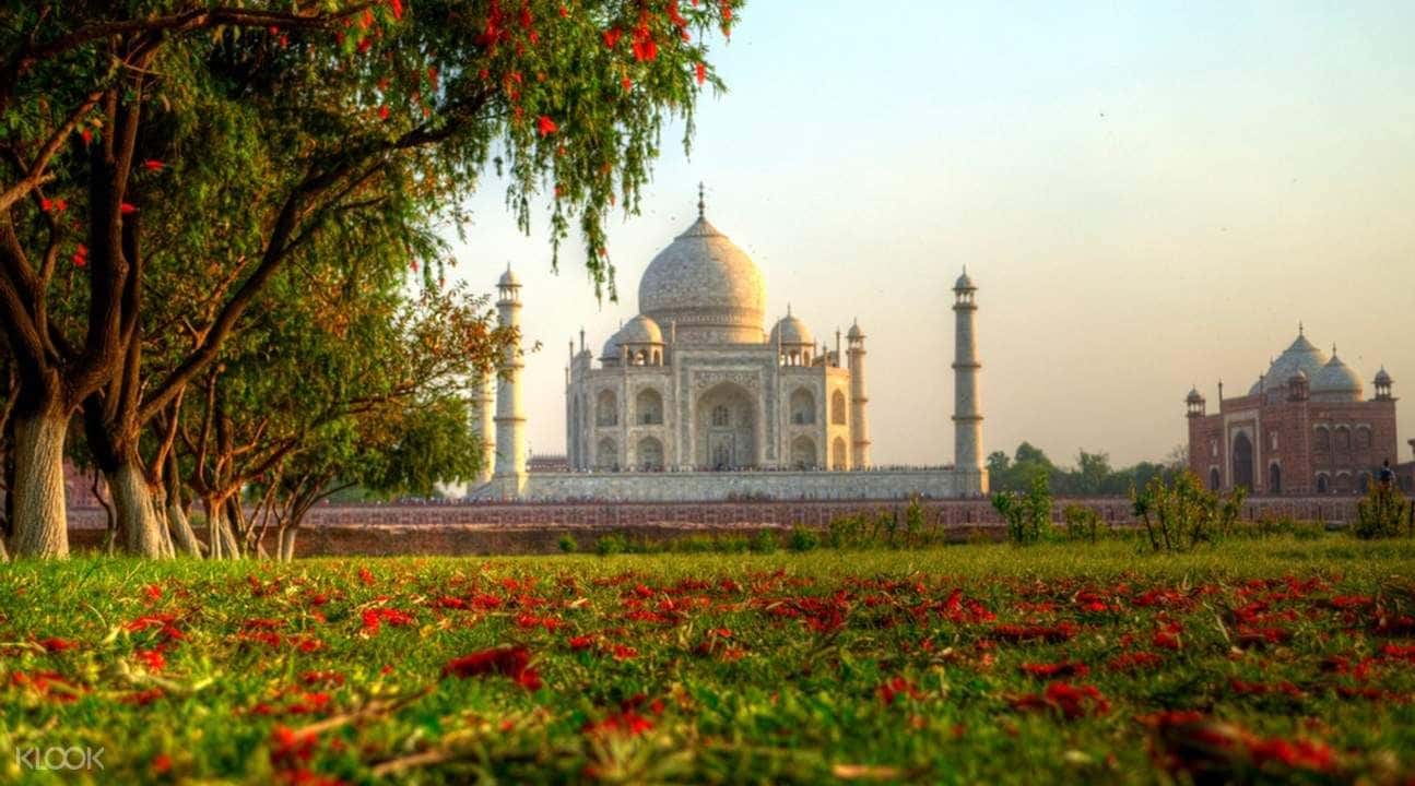 Taj Mahal Nature Walking Tour1