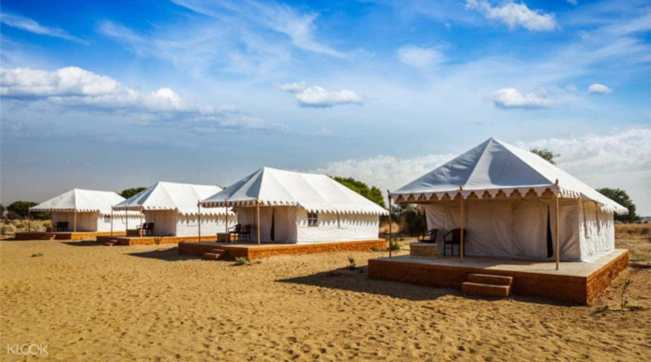 Thar Desert Camel Safari from Jodhpur3