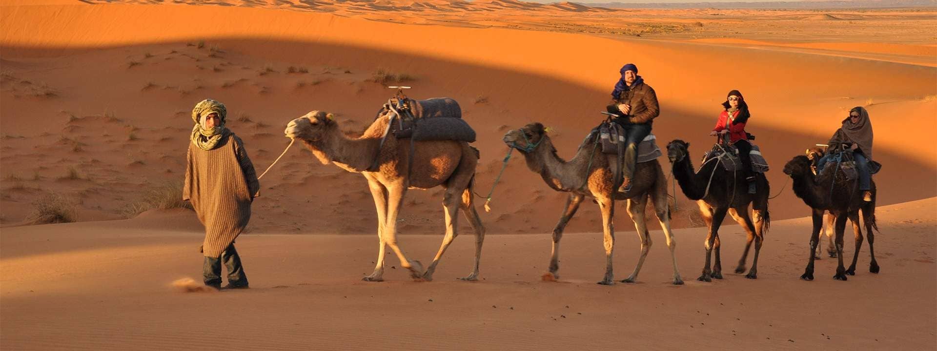 Thar Desert Camel Safari from Jodhpur