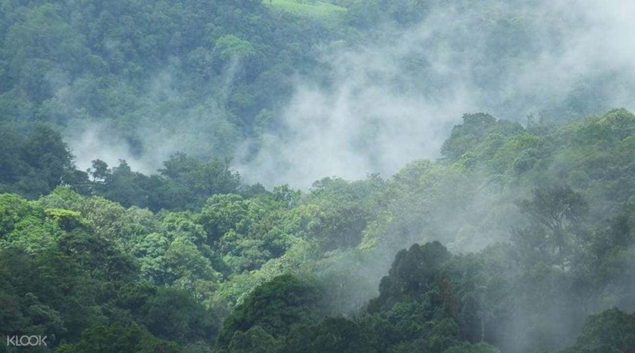 Trek To The Highest Peak Of Coorg - Tadiyandamol3