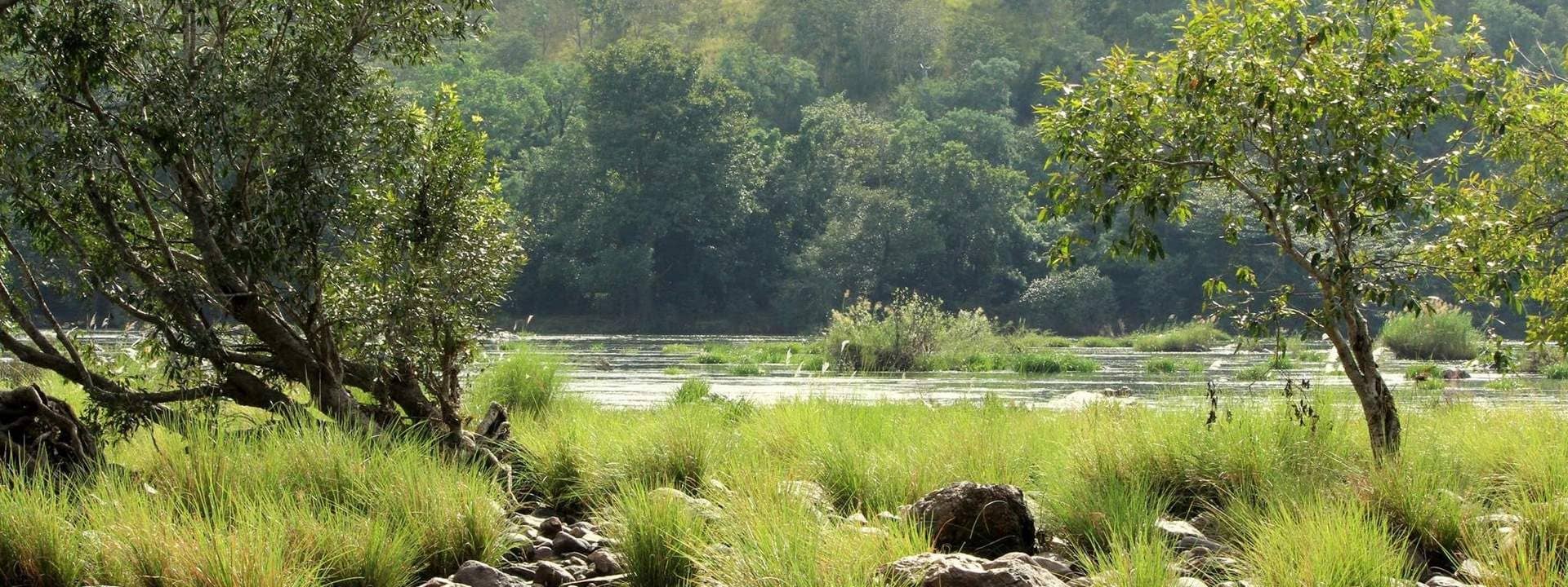 Weekend Cycling Tour to Bheemeshwari through Muthathi Forest from Bangalore