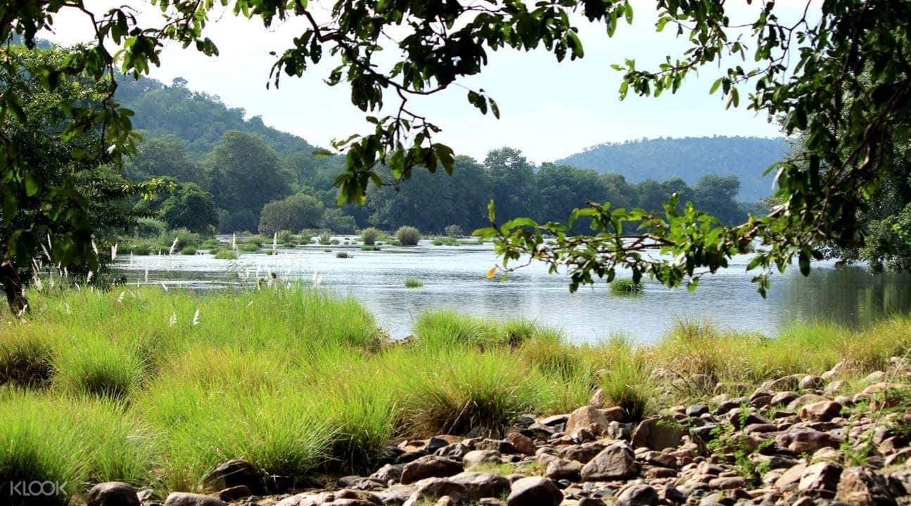 Weekend Cycling Tour to Bheemeshwari through Muthathi Forest from Bangalore4