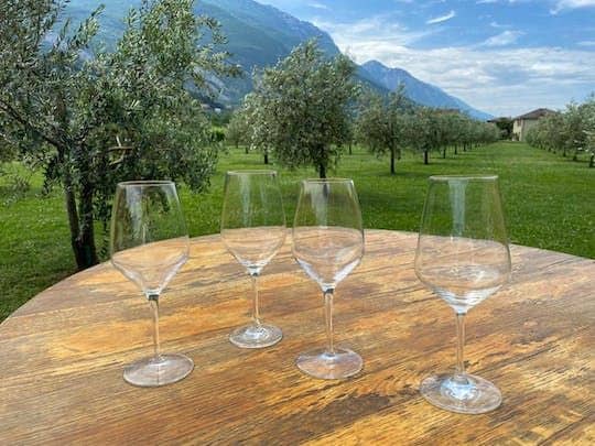 Lake Garda olive oil & wine tasting