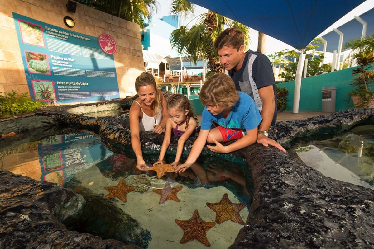 Go City: Cancun All-Inclusive Pass3