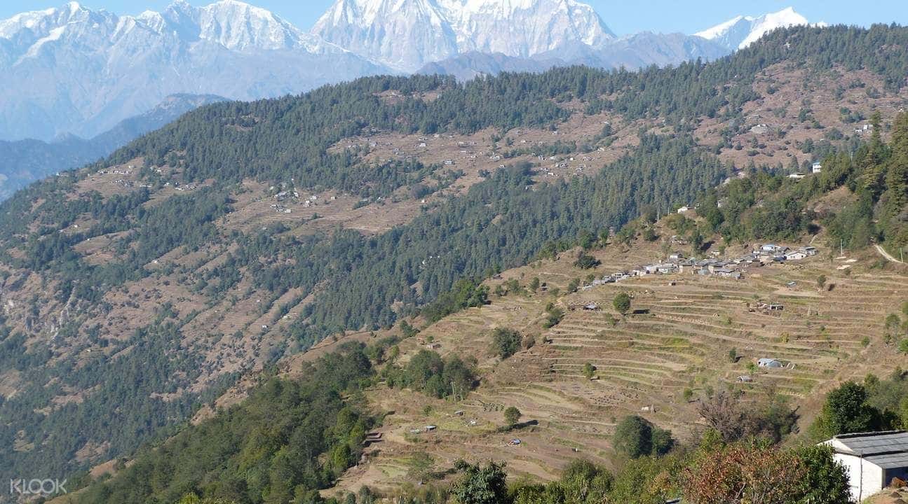 4D3N Ghorepani Poon Hill Trek2