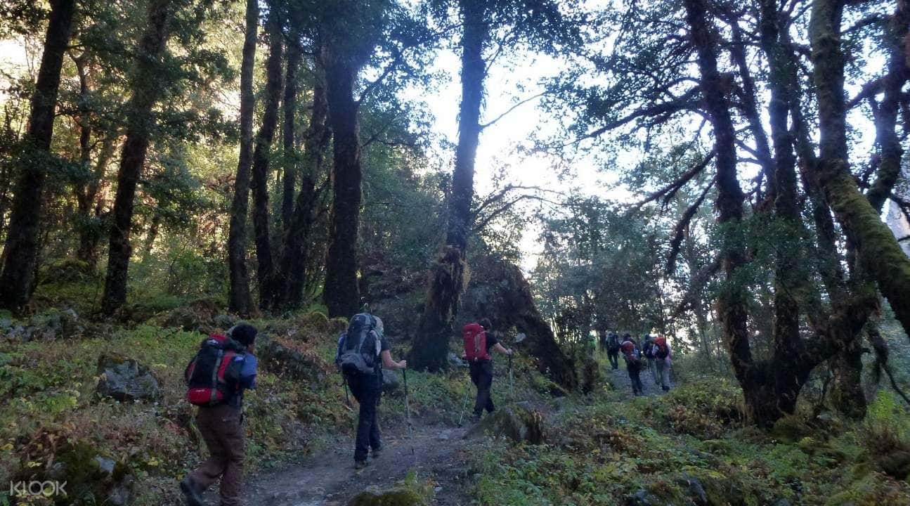 7D6N Langtang Valley Trek from Kathmandu3