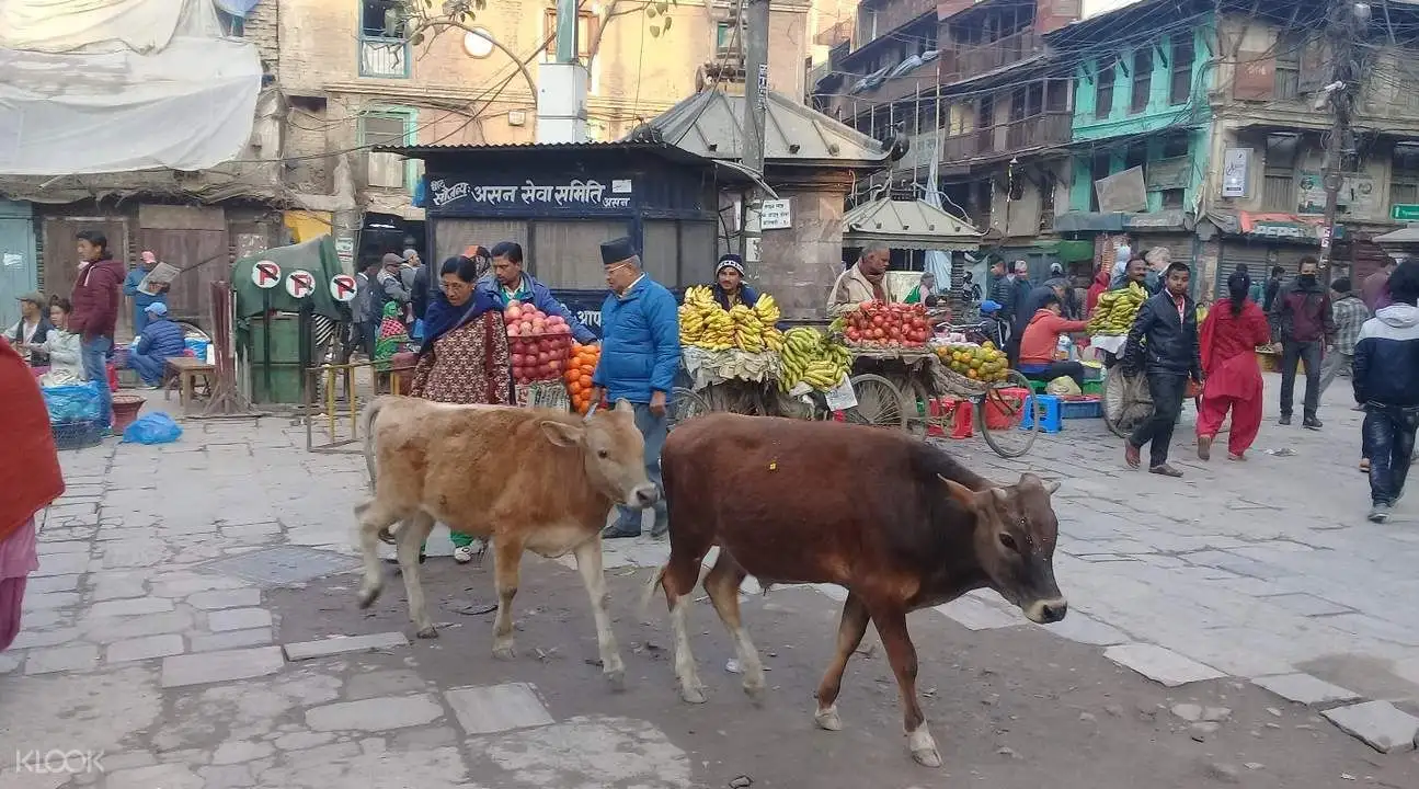 Kathmandu Bazaar Walking Tour1